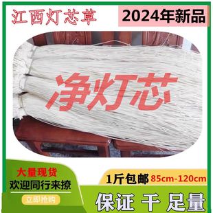 灯芯草1斤包邮长1米以上 灯心草念经供佛油灯芯 中药材野生灯草芯