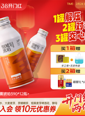 千岛湖啤酒烈性啤酒20P高浓度烟熏琥珀精酿390ml*12瓶年货送礼