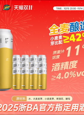 千岛湖全麦精酿送礼优选啤酒500ml*12罐整箱