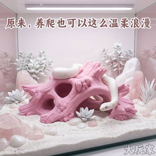 爬宠躲避屋玉米蛇王蛇守