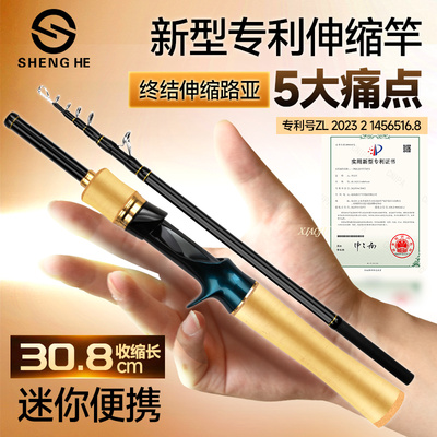 盛河小驹伸缩版迷你便携式路亚竿