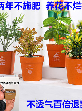 老盆友透气花盆1111出口1313简约XTOU养多肉不烂根兰花多孔陶瓷