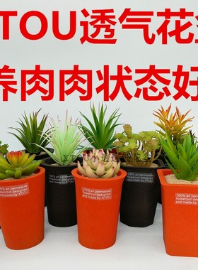 老盆友1013多孔陶瓷XTOU透气花盆日式圆方万象十二卷红陶多肉度夏