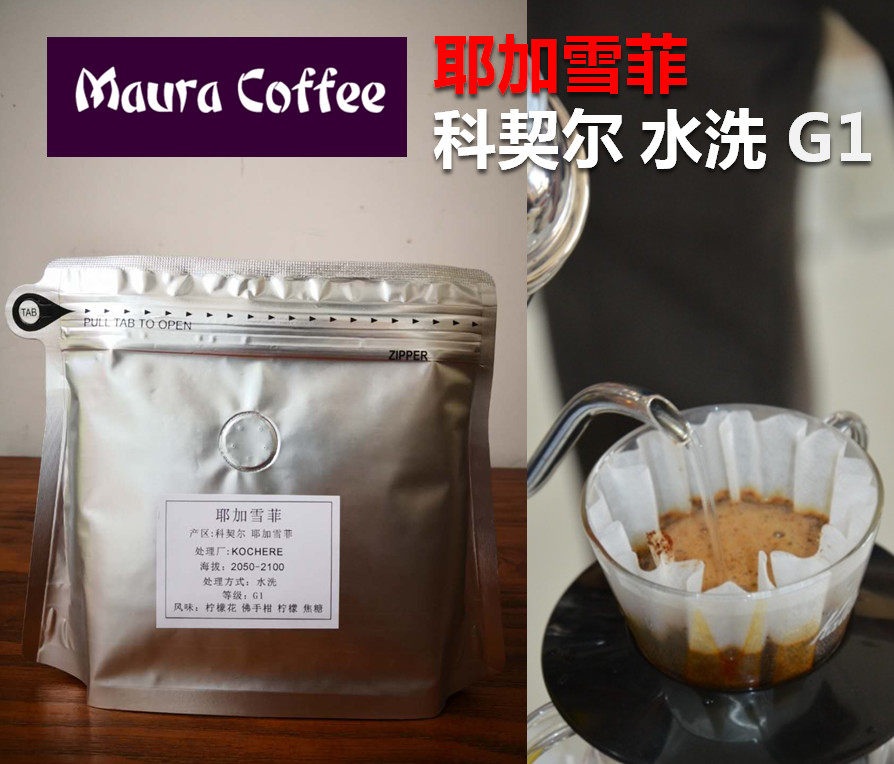 新鲜烘焙 耶加雪菲科契尔水洗g1咖啡豆柠檬佛手柑焦糖精品咖啡豆