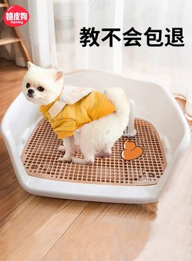 dog toilet small urinal pet anti stepping excrement狗狗厕所