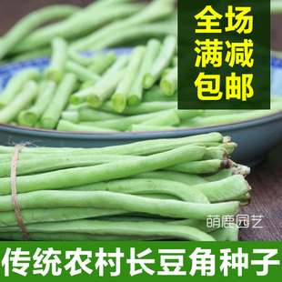 长豆角种子大全 高产绿色 四季豆种孑 阳台蔬菜种子四季可种 包邮