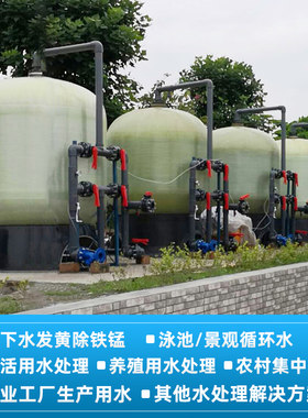 多介质锰砂除铁锰净水设备过滤器