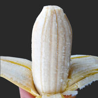 Freshly picked green plantains from Gaozhou, large plantains, and fresh horned plantains without ripening agents. Free shipping for 3, 5, and 9 pounds of fruits in season from Guangdong thumbnail 2