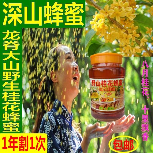 龙脊梯田山桂花蜂蜜500克正宗正品纯正天然野生高山新鲜好土蜂蜜