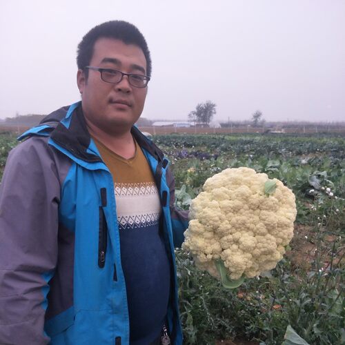 Omvqneqdpmixom Omvqneqdpmixom