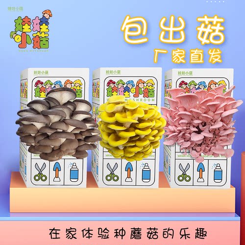 蘑菇种植包礼盒简单可食用