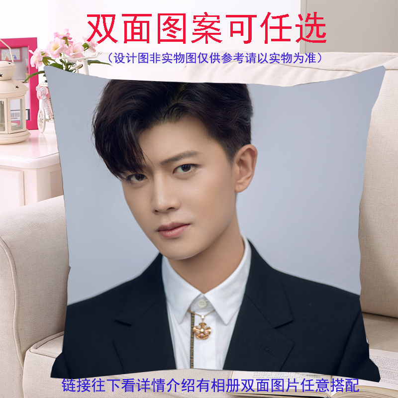 任嘉伦节日礼物抱枕靠枕垫定制