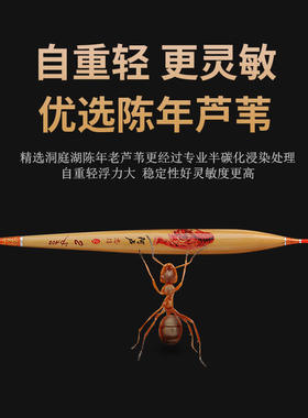 阿卢忠信手工芦苇浮漂加粗高灵敏醒目轻口鲫鱼大物鱼漂芦苇漂