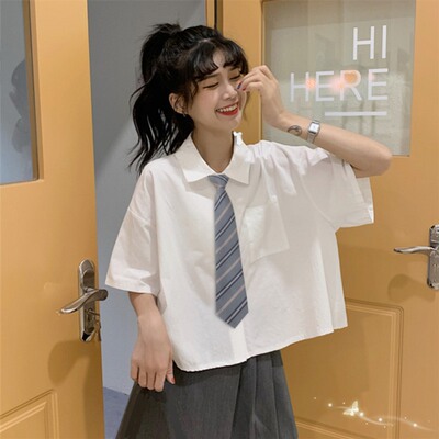 灰色领带jk学院学生校供感免打短款衬衫装饰蝴蝶结领结女手打条纹