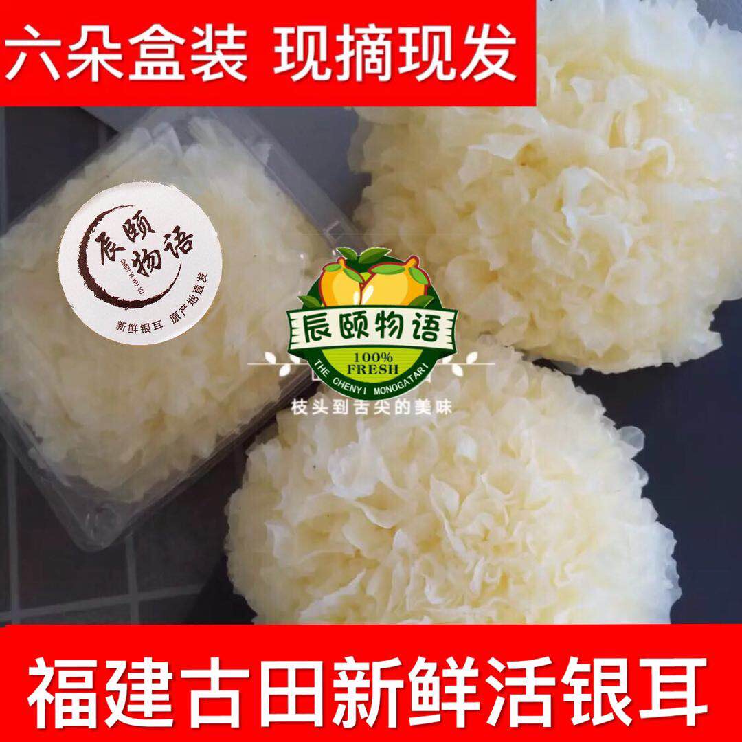辰颐物语古田银耳新鲜活银耳养颜白木耳现摘现发4朵雪耳520克包邮