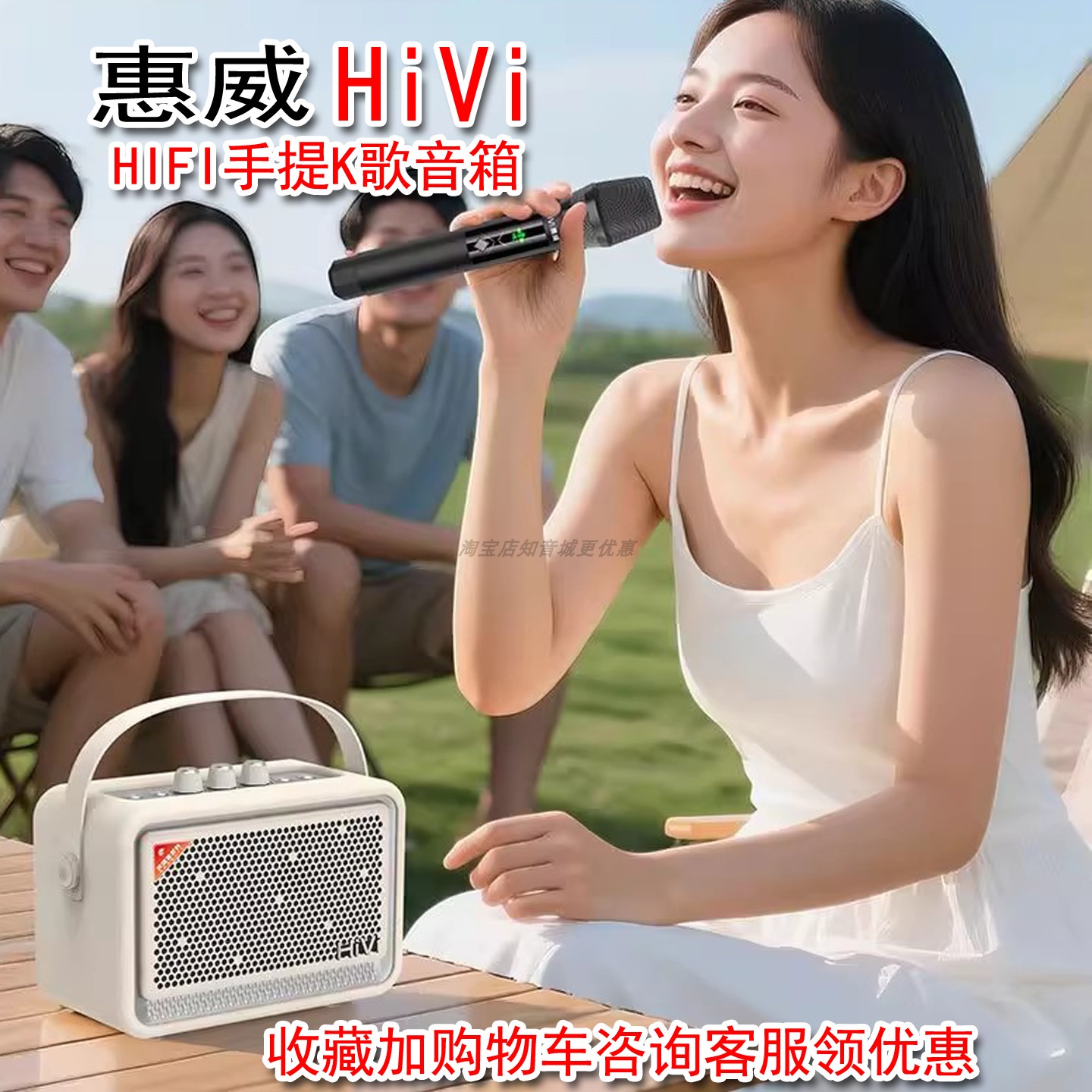 惠威TQ53蓝牙K歌音箱露营低音炮