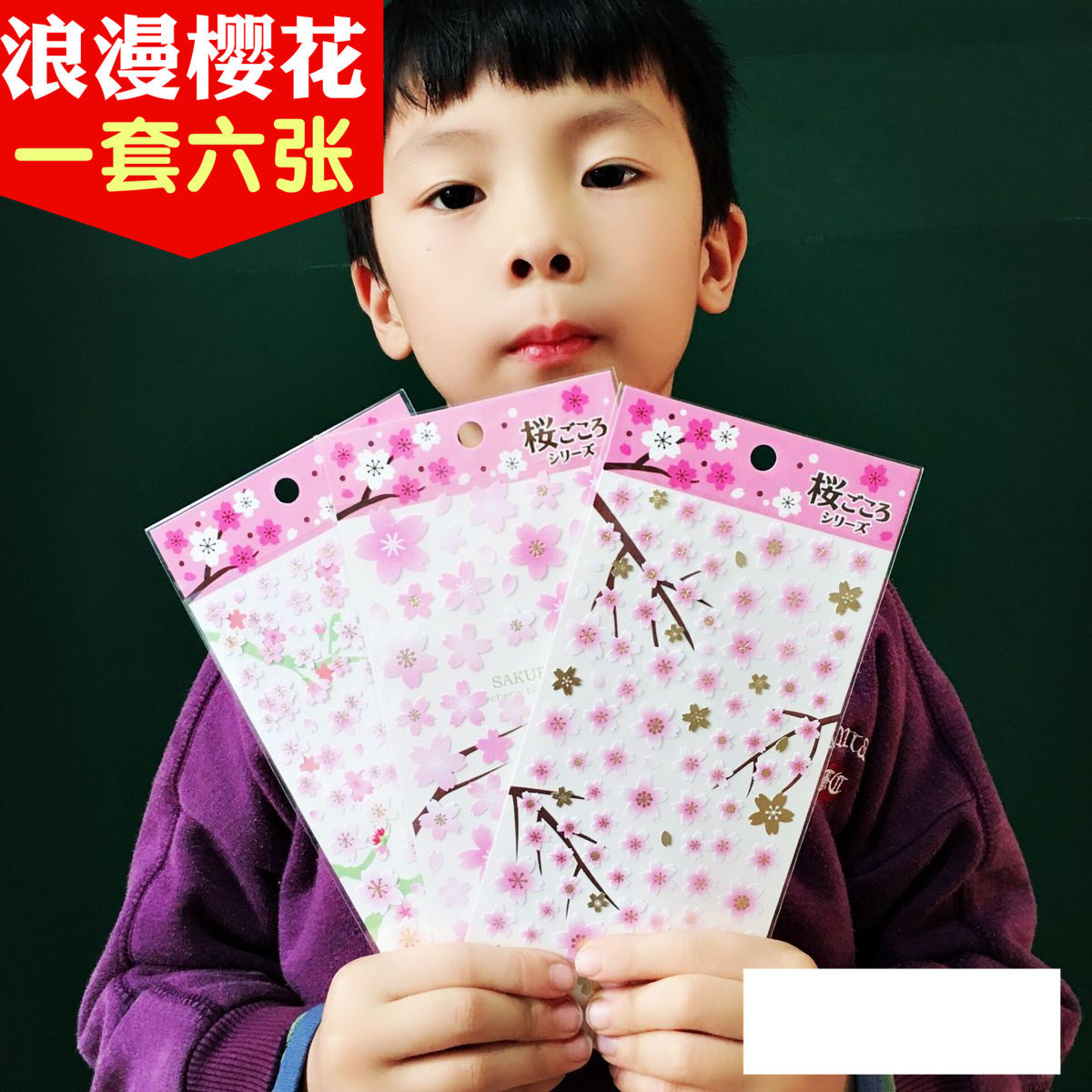 romantic Japanese cherry plane Hand account Sticker Stick diy manual Album album Diary decorate Stickersin the Toy/Childs/Puzzle/Building block/Model , Early Learning/Smart toys , Sticker  category - from Buy2taobao.com to provide professional Taobao agent buy service