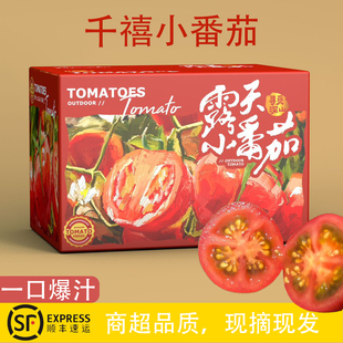 攀枝花千禧果自然熟樱桃小番茄蔬菜新鲜甜圣女果西红柿水果礼盒装