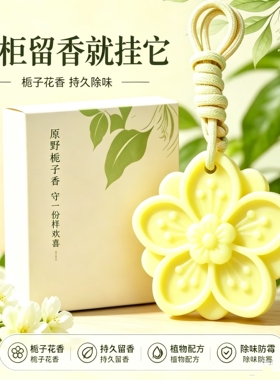 家用防虫防蛀挂片天然植物萃取孕婴可用衣柜防霉驱螨除异味香薰