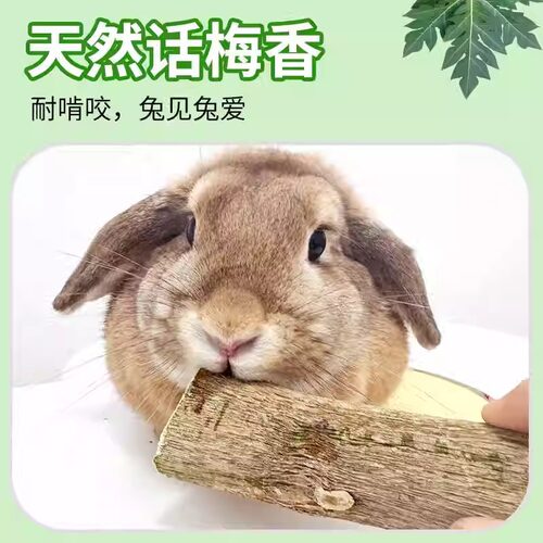 兔子解闷玩具磨牙木瓜墩龙猫豚鼠荷兰猪磨牙棒话梅香气零食烘干