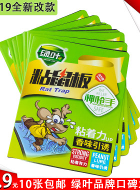 绿叶性价比加香引诱强力粘鼠板