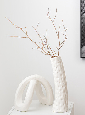 创意INS简约抽象异形陶瓷花瓶摆件插花干花玄关电视柜客厅装饰品