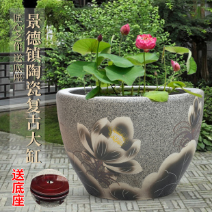 景德镇陶瓷鱼缸特大号客厅养鱼盆户外鱼缸睡莲荷花缸庭院老式 水缸
