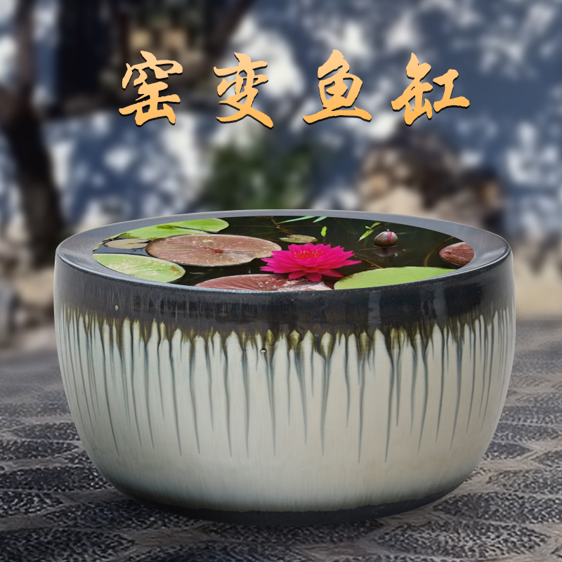 陶瓷鱼缸造景客厅小型乌龟缸圆形睡莲盆缸金鱼缸莲花盆缸荷花盆缸