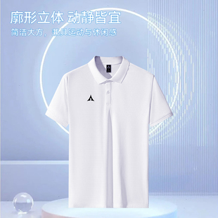 路克士1619夏季新款休闲T恤透气薄跑步运动POLO衫翻领短袖t恤男