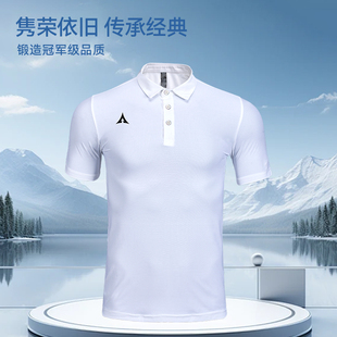 路克士2101夏季训练服T恤透气薄跑步运动POLO衫翻领短袖t恤男