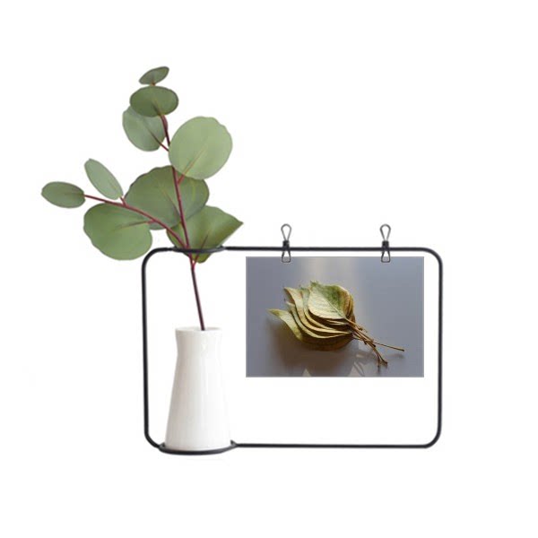 芭蕉植物叶子图片金属相框陶瓷花仿真花