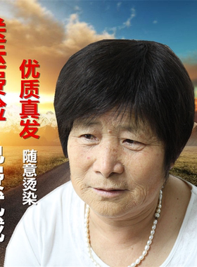 假发女短发送给奶奶短直发