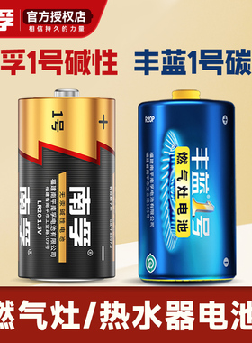 南孚1号电池D型1号电池煤气灶用一号大号碱性LR20 丰蓝热水器煤气灶电池液化气燃气炉天然气灶电池手电筒