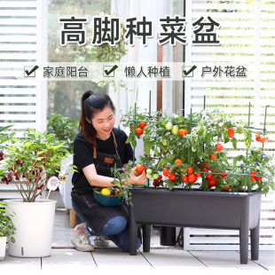 花盆蔬菜家庭阳台多肉种菜盆长方形户外塑料高脚菜盆懒人种菜箱