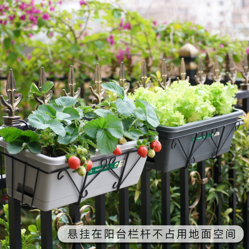 长方形种菜专用盆花盆塑料箱室内阳台长条家庭家用蔬菜种植箱菜盆