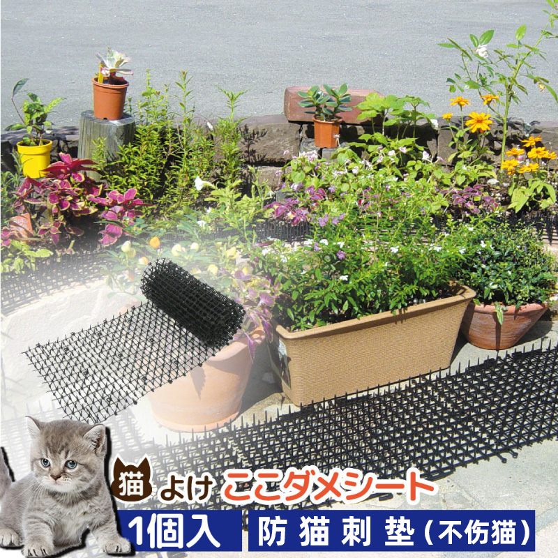 苗之助防猫刺垫动物防护防抓放挠