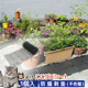 防猫抓阳台花盆刺窗台盆垫网片围墙网防护猫咪塑料用品花隔离网