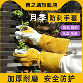月季 专用玫瑰花防护手套长款 花花艺加厚耐磨园艺花园园林鲜花