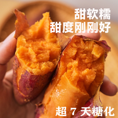 西瓜红薯云南农家沙地糖心烤地瓜