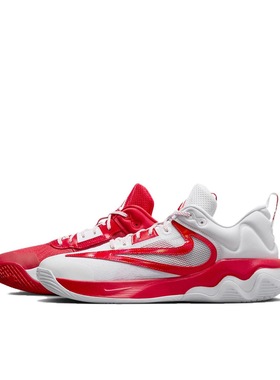 Nike Giannis Immortality 3 字母哥 FV4080-600 广东PP仓3