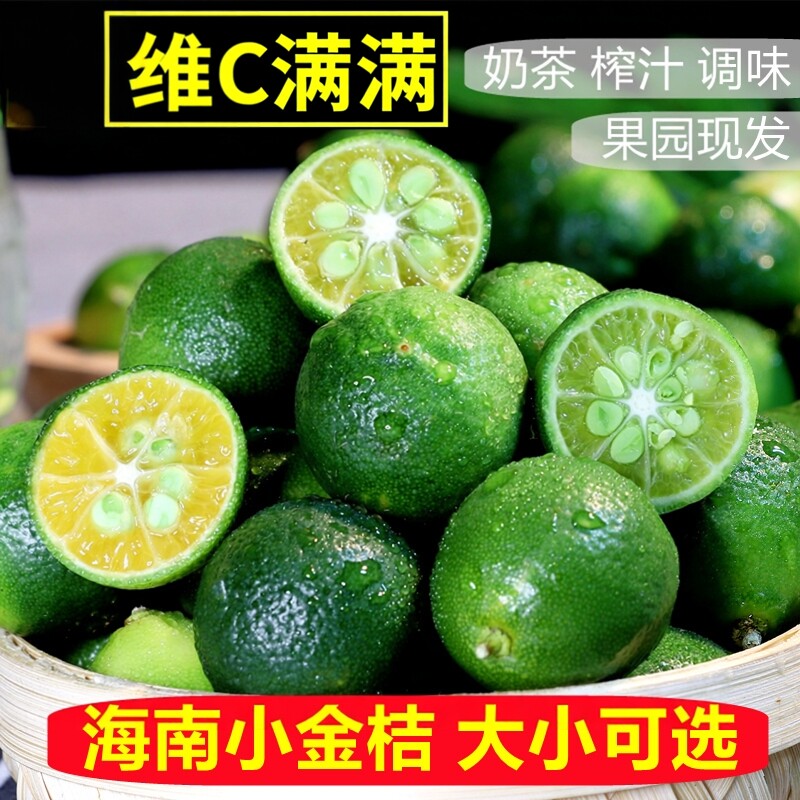 海南小金桔3斤青金桔柠檬新鲜水果包邮5奶茶店小青柠皮薄多汁批发