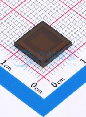 AR0134CSSC00SPCA0-DPBR LCC-48(10x10) 图像传感器 ON(安森美)原