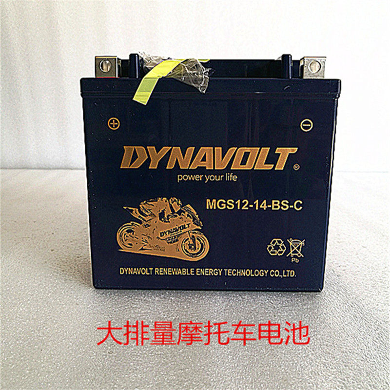 宝马1200拿铁F650F700F800水鸟油鸟川崎火神电瓶免维护12v14A电池