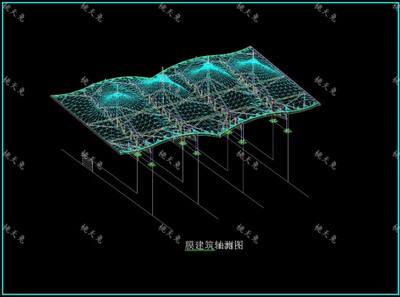 看台膜结构施工图cad图纸
