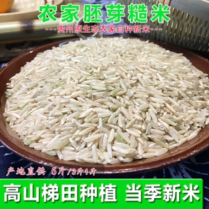 贵州农家胚芽米健身低脂粗粮糙米