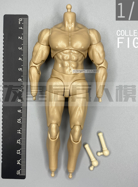 1/12 兵人6寸人偶神猫跳动 HASUKI黑色行动SA-02盾兵 散件 素体