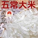 正宗2024年新米黑龍江19266五常大米5kg東北優(yōu)質(zhì)長粒香米10斤粳米