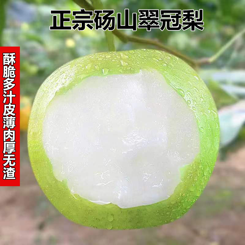 梨子新鲜砀山翠冠梨脆甜多汁细腻