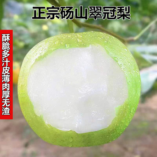 梨子新鲜砀山翠冠梨脆甜多汁细腻