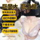 摩珏摩珏内衣女小胸聚拢显大收副乳调整文胸罩中厚杯胸罩塑形